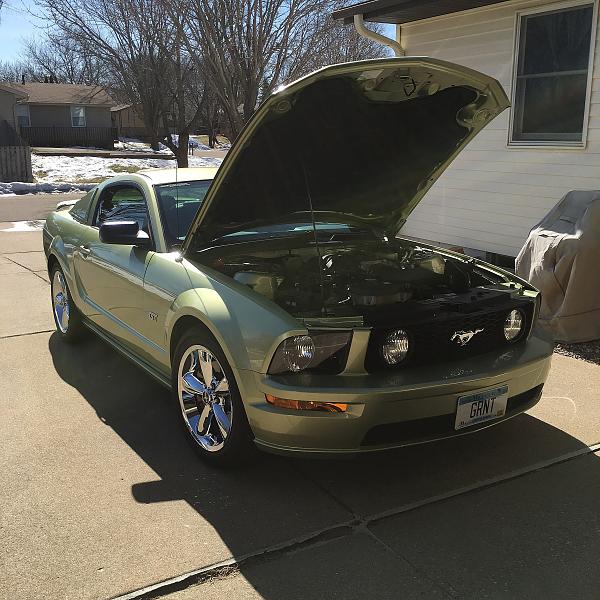 What did you do with your Mustang today?-image.jpeg