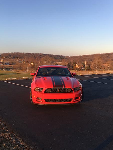 What did you do with your Mustang today?-photo207.jpg