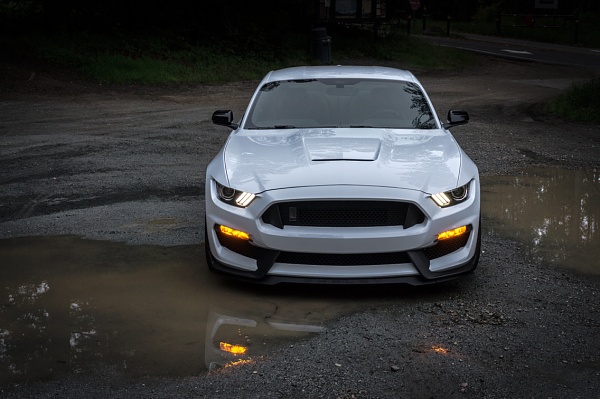 What did you do with your Mustang today?-photo336.jpg