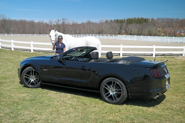 What did you do with your Mustang today?-sam_4674.jpg