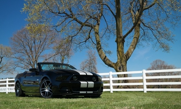 What did you do with your Mustang today?-sam_4695-copy-2-copy.jpg