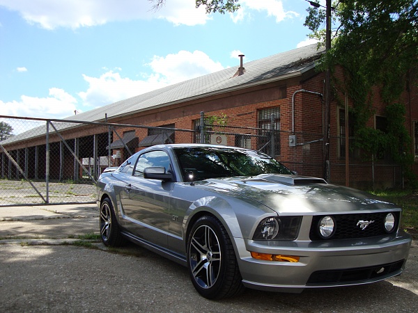 What did you do with your Mustang today?-dsc00670.jpg
