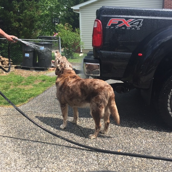 Mustangs Coast to Coast-freckles-hose.jpg