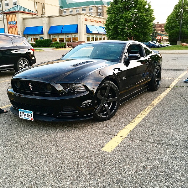 What did you do with your Mustang today?-image.jpeg
