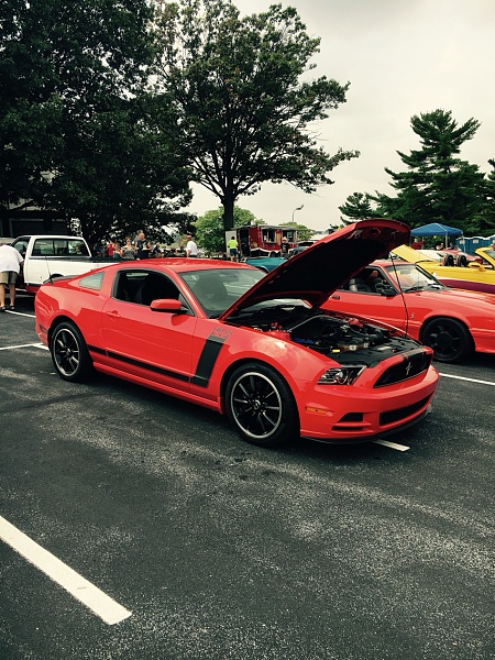 What did you do with your Mustang today?-photo2.jpg