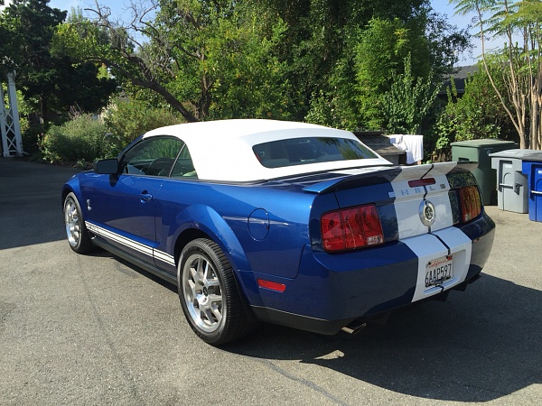 What did you do with your Mustang today?-photo951.jpg