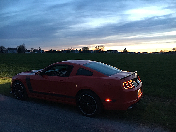 What did you do with your Mustang today?-photo302.jpg
