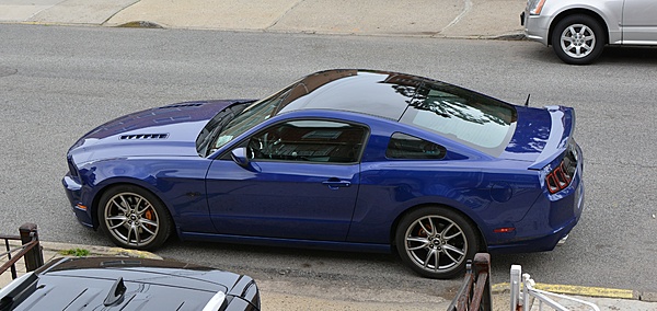 What did you do with your Mustang today?-dsc_0376.jpg