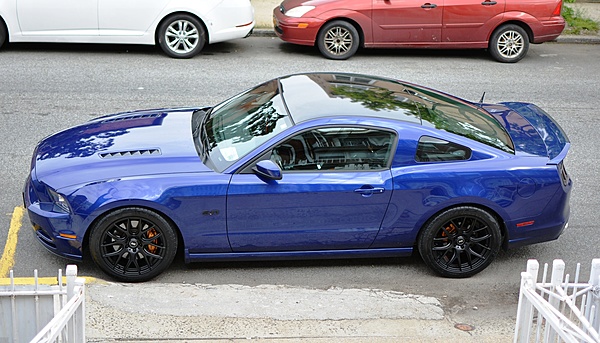 What did you do with your Mustang today?-dsc_0557.jpg