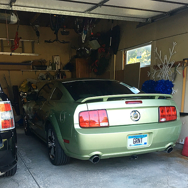 What did you do with your Mustang today?-photo441.jpg