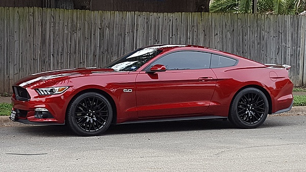 What did you do with your Mustang today?-20171113_105335-2-.jpg