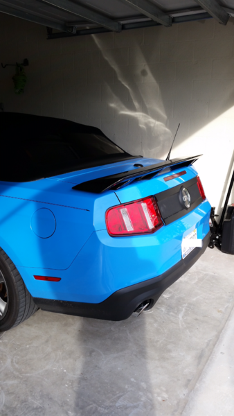What did you do with your Mustang today?-image3.png