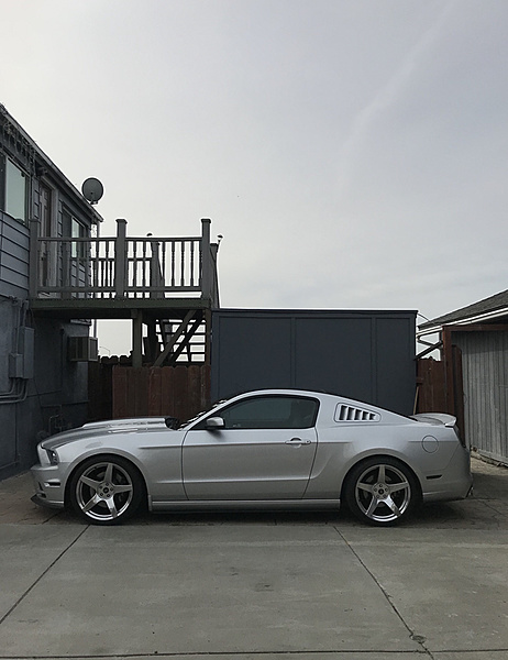 What did you do with your Mustang today?-photo295.jpg