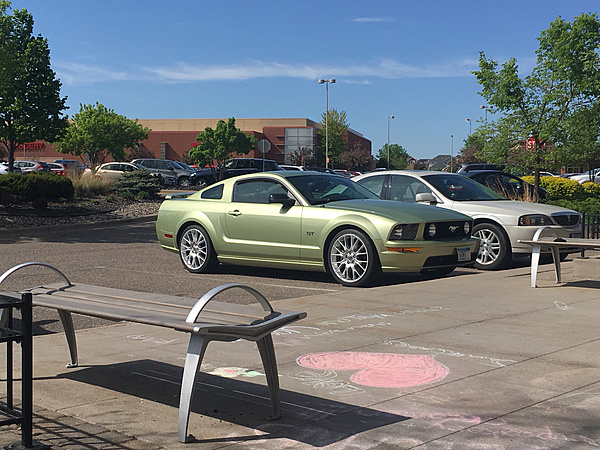 What did you do with your Mustang today?-photo37.jpg