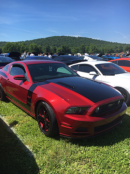 What did you do with your Mustang today?-photo622.jpg