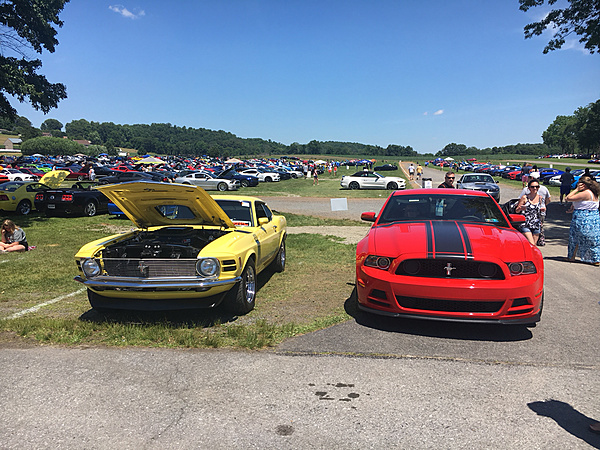What did you do with your Mustang today?-photo923.jpg