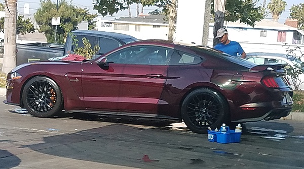 What did you do with your Mustang today?-20180716_091550.jpg