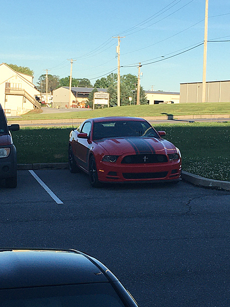 2013 Boss 302 Mustang Freak-photo621.jpg