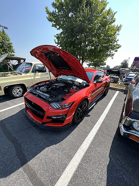 2013 Boss 302 Mustang Freak-photo460.jpg