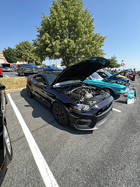 2013 Boss 302 Mustang Freak-photo229.jpg