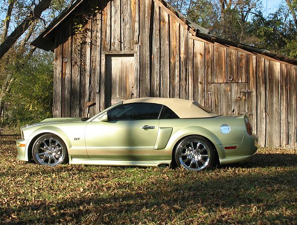 Mustangs Coast to Coast-conv-gt350.jpg