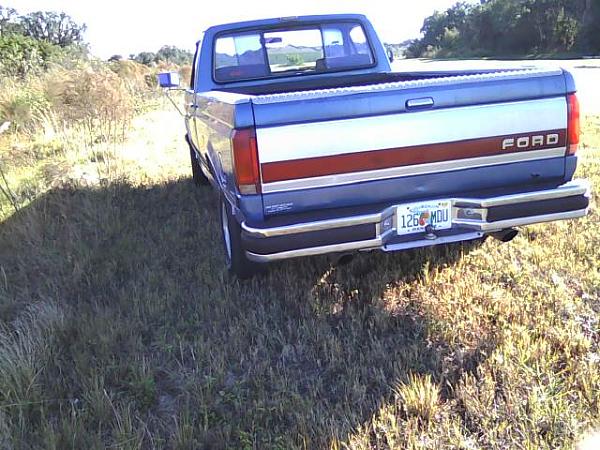 Mustangs Coast to Coast-rear-country-meadows.jpg