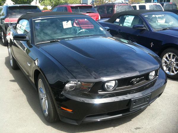 Mustangs Coast to Coast-blue-2010-mustang-gt-008.jpg