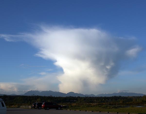 Mustangs Coast to Coast-yoda-cloud.jpg