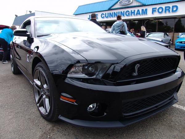 Mustangs Coast to Coast-ford-spectacular-j.c-090.jpg