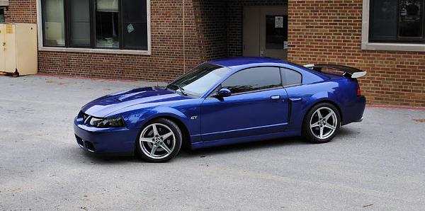 Mustangs Coast to Coast-user3602_pic4877_1274205905.jpg