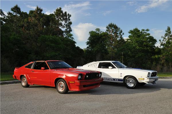 1978 Mustang II/King Cobra, 1978 Mustang II - Cobra II &amp; Occasionally a 1974 Trans Am-dsc_0035.jpg