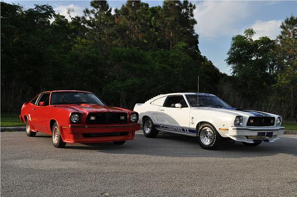 1978 Mustang II/King Cobra, 1978 Mustang II - Cobra II &amp; Occasionally a 1974 Trans Am-dsc_0038.jpg