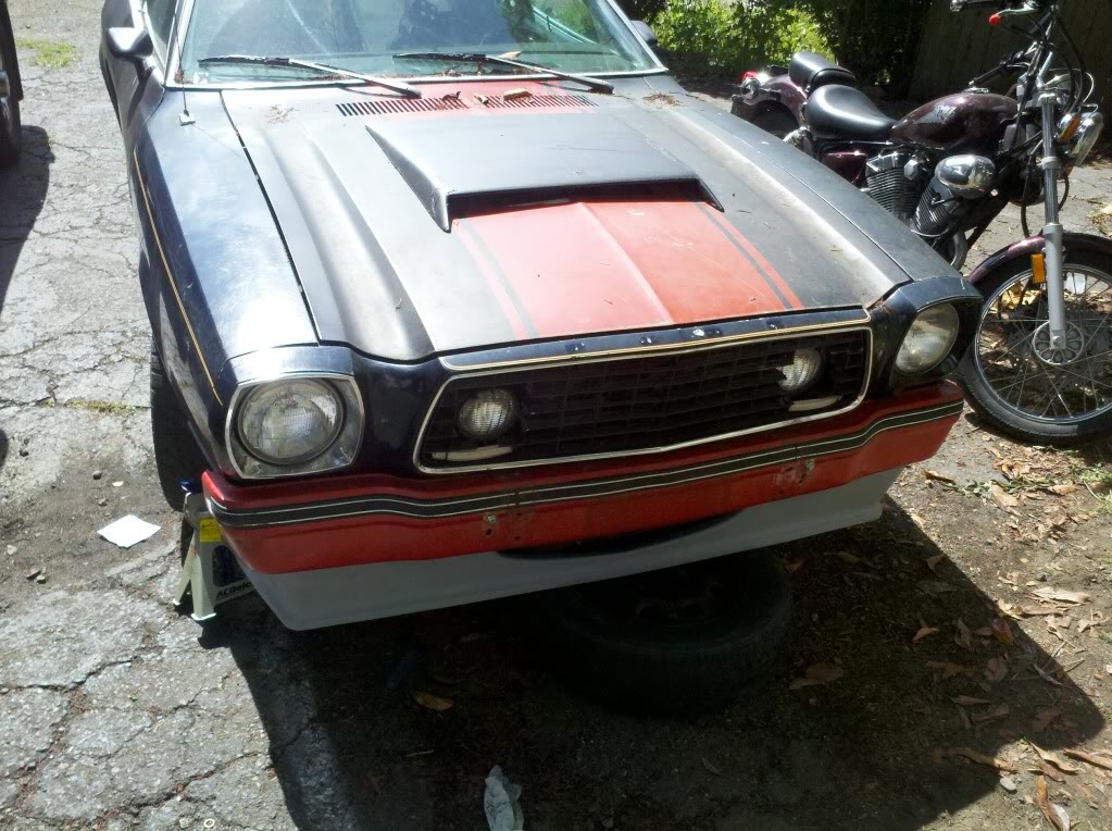 Name:  frontup.jpg
Views: 43
Size:  182.3 KB