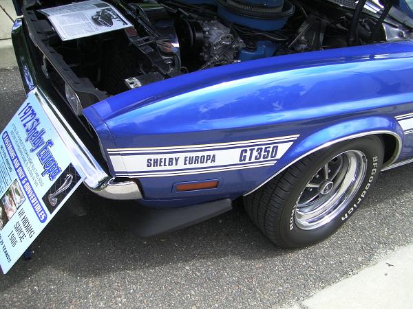 Images Of 1971/ 72 Shelby GT350 - They Do Exist-a3fnk3.jpg