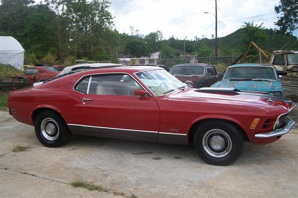 Selling my Dad's 65-72 Mustang Collection-100_2518-medium-.jpg