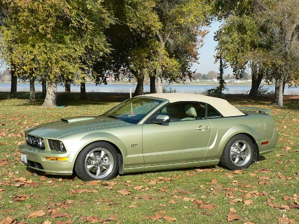 How important is your Mustang's color to you?-lamees-1r.jpg