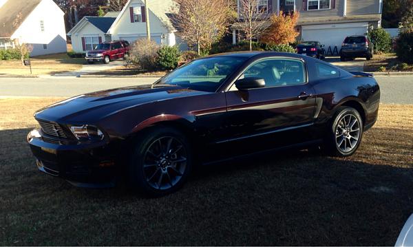 How important is your Mustang's color to you?-image-2809192639.jpg