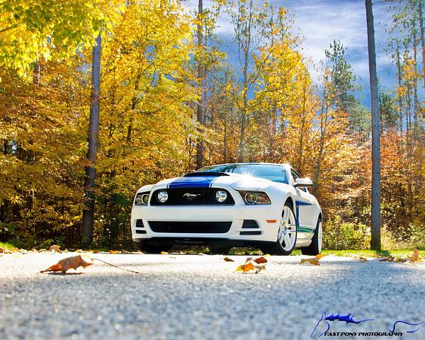 How important is your Mustang's color to you?-image.jpg