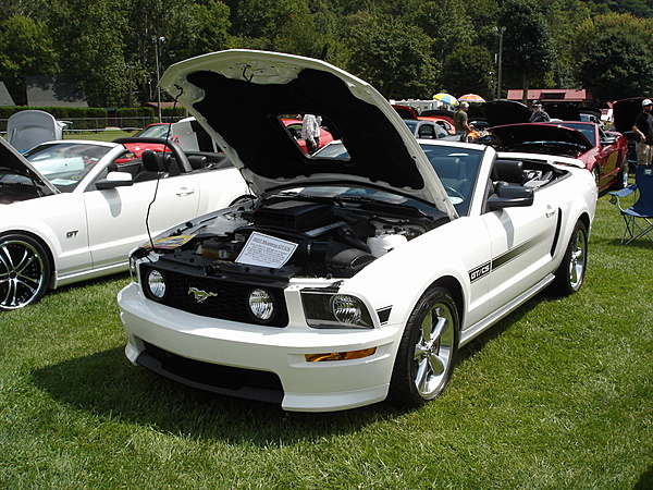 Is Your Car a Sports Car?-maggie-valley-mustang-4-.jpg