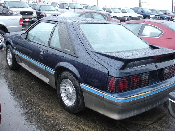 Members' Rides: 1979-1993-sideleft.jpg
