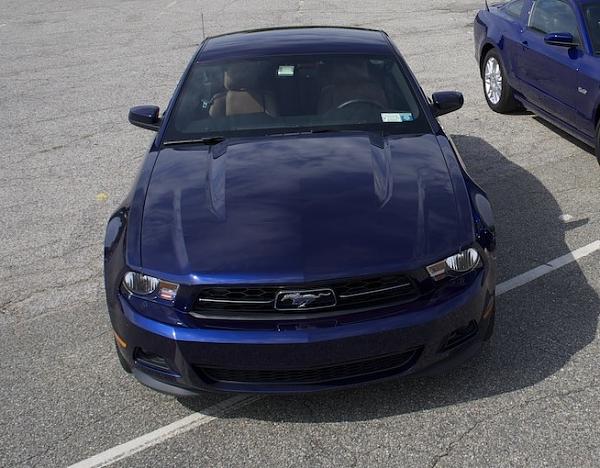 Got ticket for no front plate, need part number!!-dsc00473.jpg