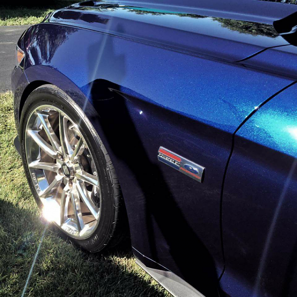 2015 Mustang Trunk Panel Badge / Emblem-forumrunner_20161118_144410.png