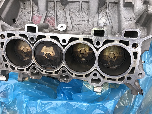 2018 GT rattle from transmission/clutch/engine confirmed by service tech-img_8778.jpg