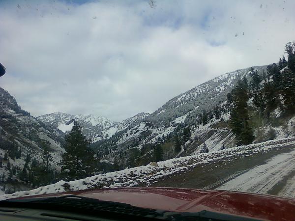 Huge Strange RANDOM Pictures and Idiocy Gallery!*-pic_0278.jpg