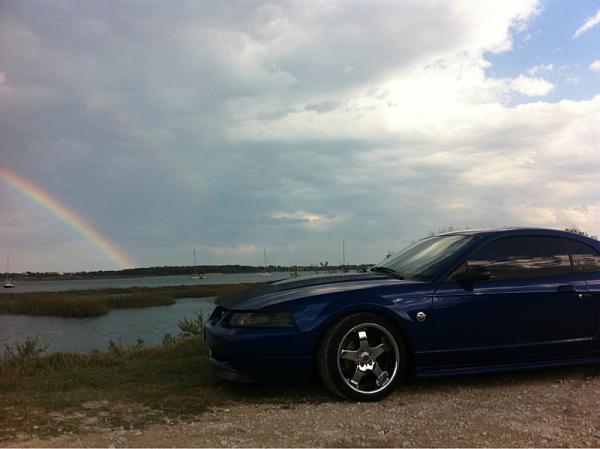 Huge Strange RANDOM Pictures and Idiocy Gallery!*-image-1370030481.jpg