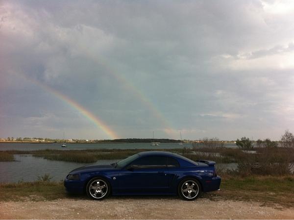 Huge Strange RANDOM Pictures and Idiocy Gallery!*-image-3397162582.jpg