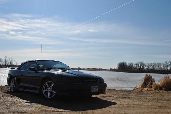 Huge Strange RANDOM Pictures and Idiocy Gallery!*-dsc_0052.jpg