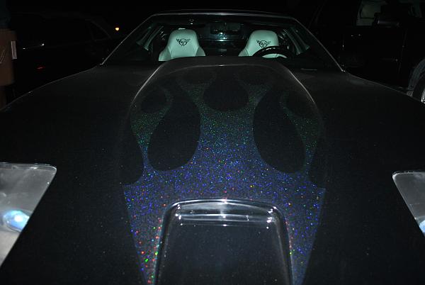 Huge Strange RANDOM Pictures and Idiocy Gallery!*-dsc_0039.jpg