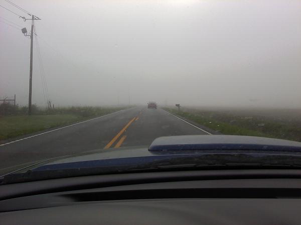 Huge Strange RANDOM Pictures and Idiocy Gallery!*-0321120907a.jpg