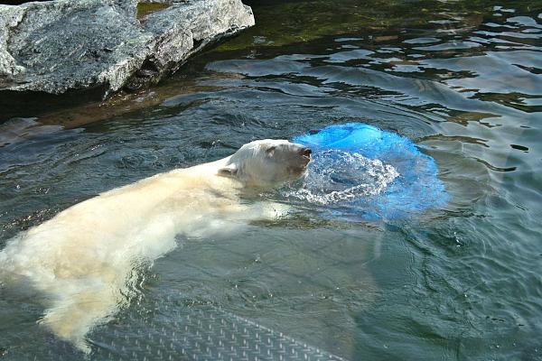 Members Random Picture Gallery Non Mustang Shots of Interest!-img_0064.jpg